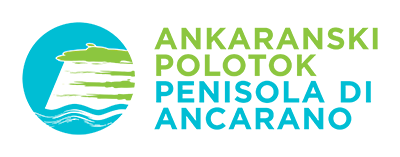 banner-ank-polotok