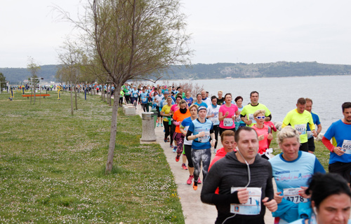 9. Istrski maraton, foto: Društvo Istrski maraton