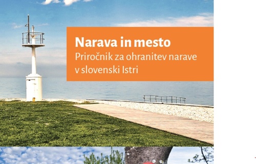 Priročnik Narava in mesto