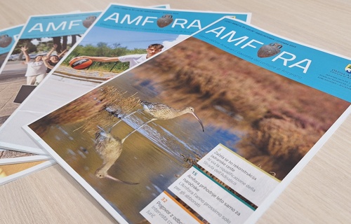 Naslovnice Amfora - nova izdaja oktober 2025