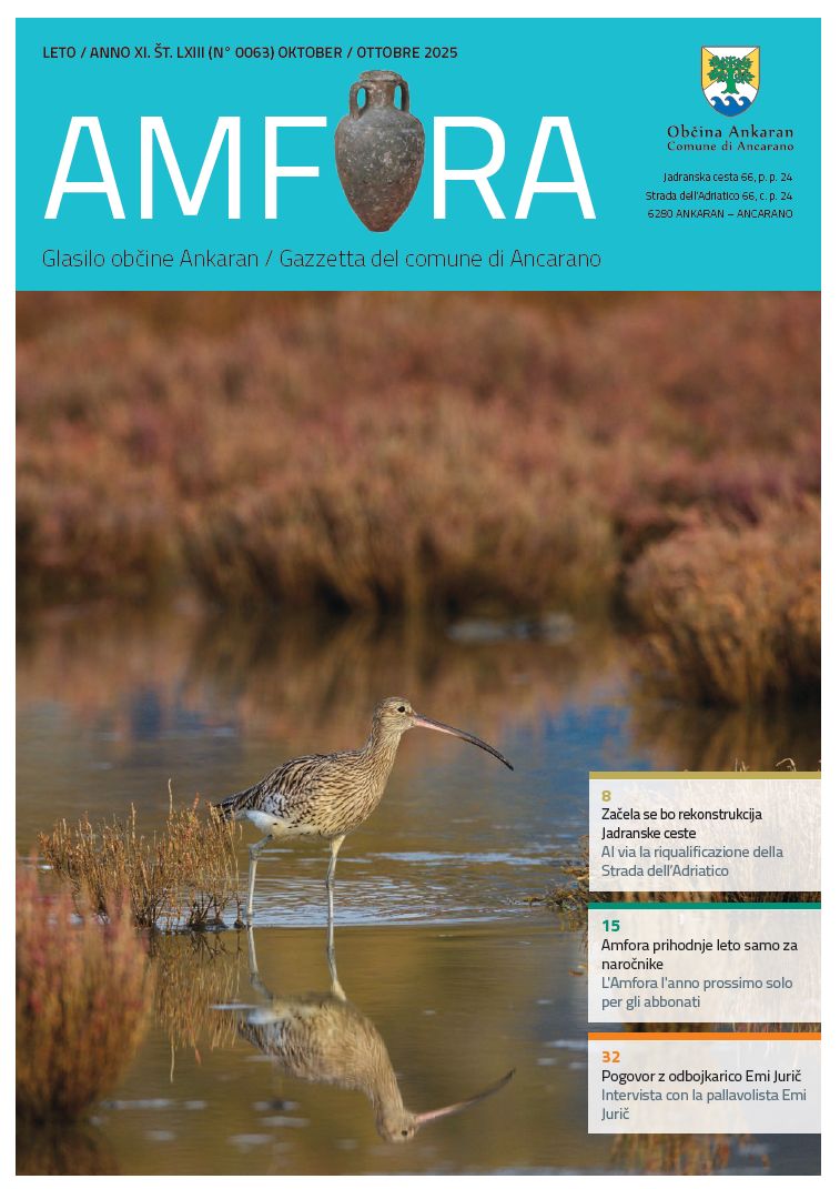 Amfora oktober 2025 naslovnica