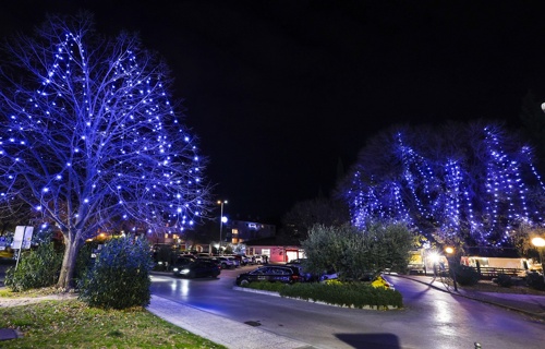 Ankaran center lučke 2024
