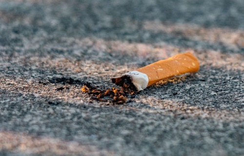 Cigaretni ogorek pixabay