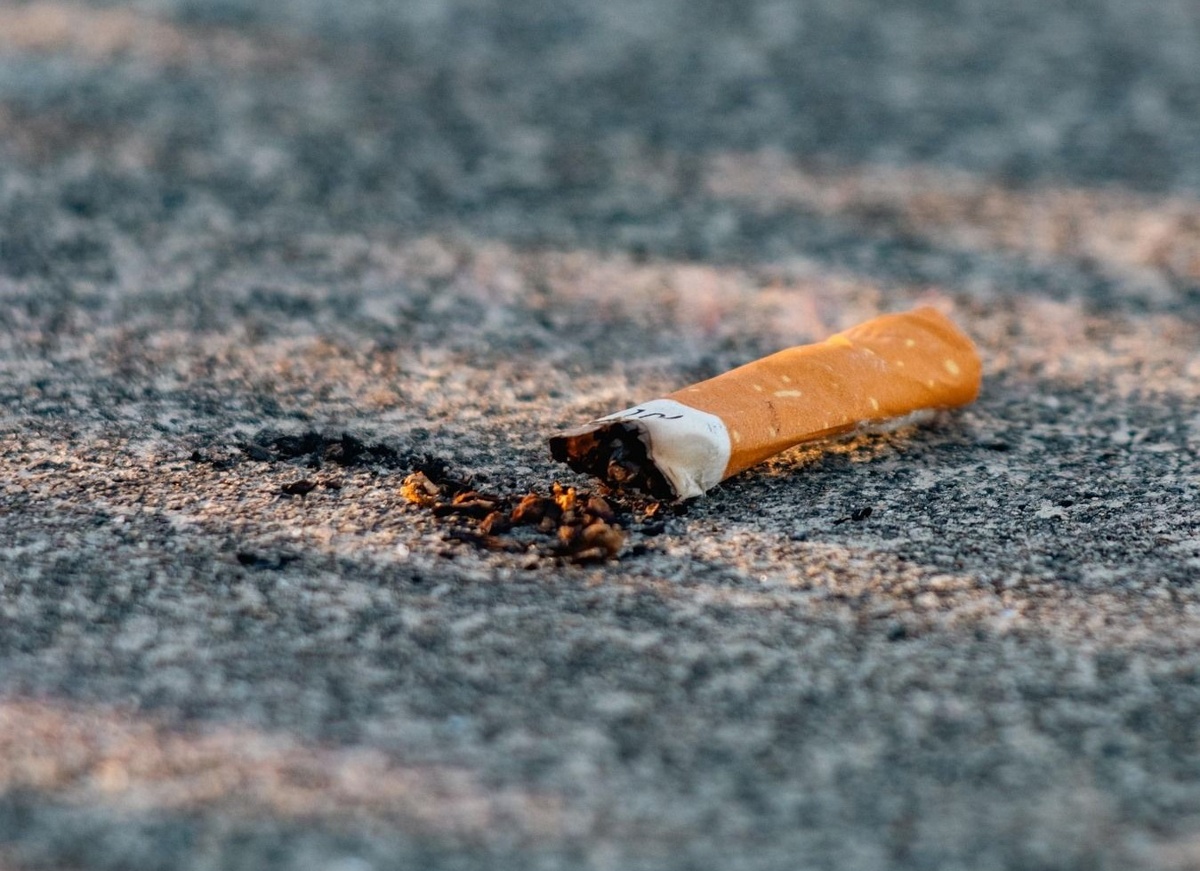 Cigaretni ogorek pixabay