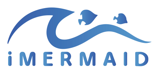 Logo Imermaid