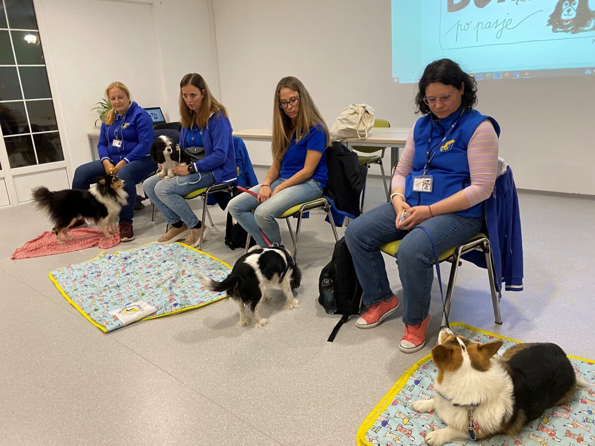 Tačke pomagačke v MSA - 1