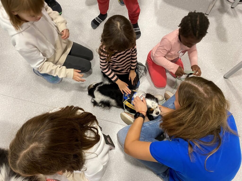 Tačke pomagačke v MSA - 2