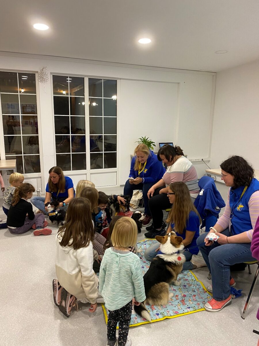 Tačke pomagačke v MSA - 3