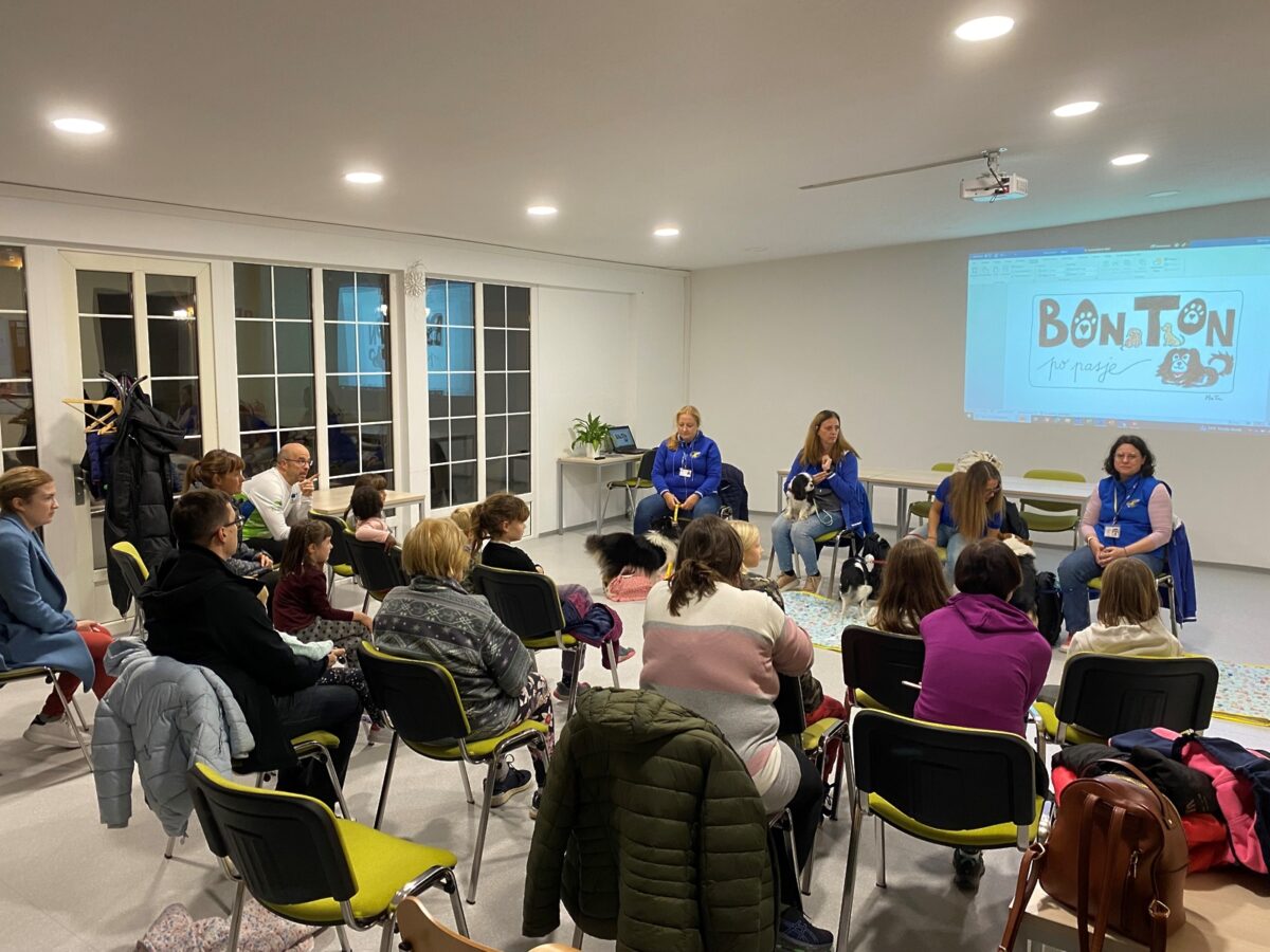 Tačke pomagačke v MSA - 4