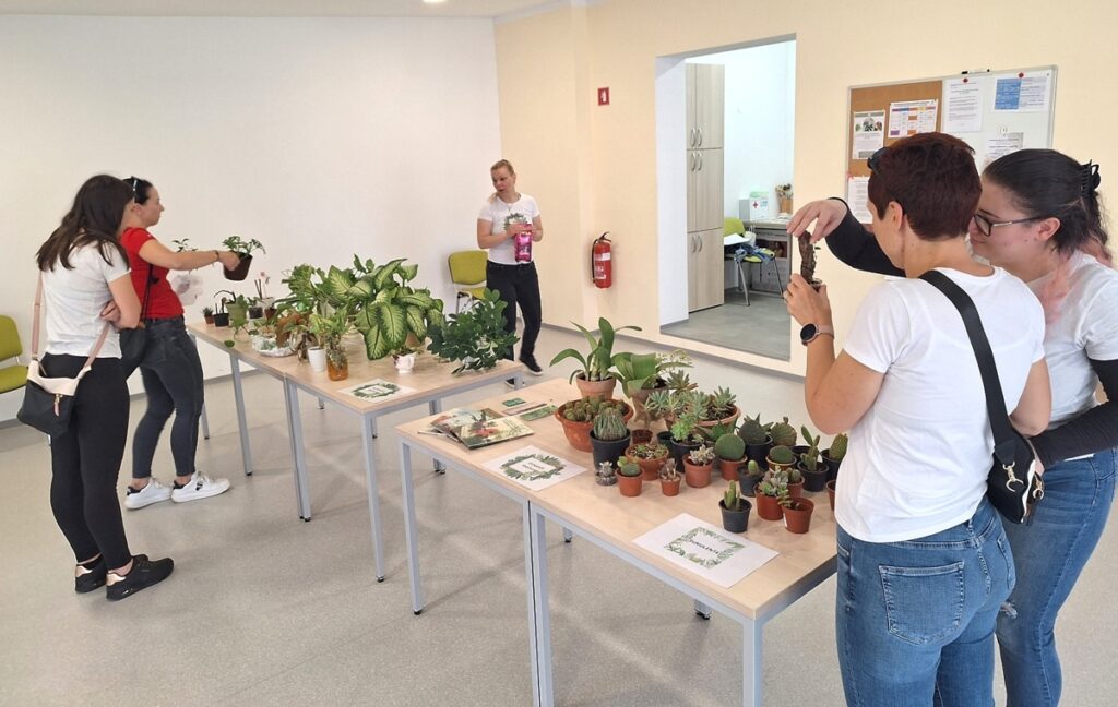 Izmenjava rastlin maj 2024 01