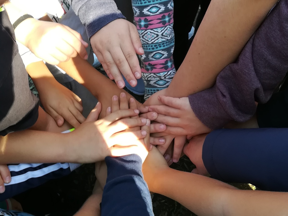 Petka dan odprtih vrat