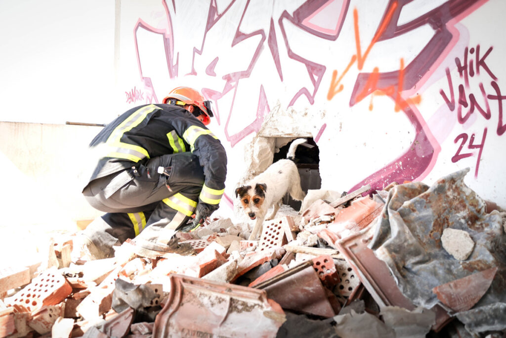 Reševalna vaja psi 02