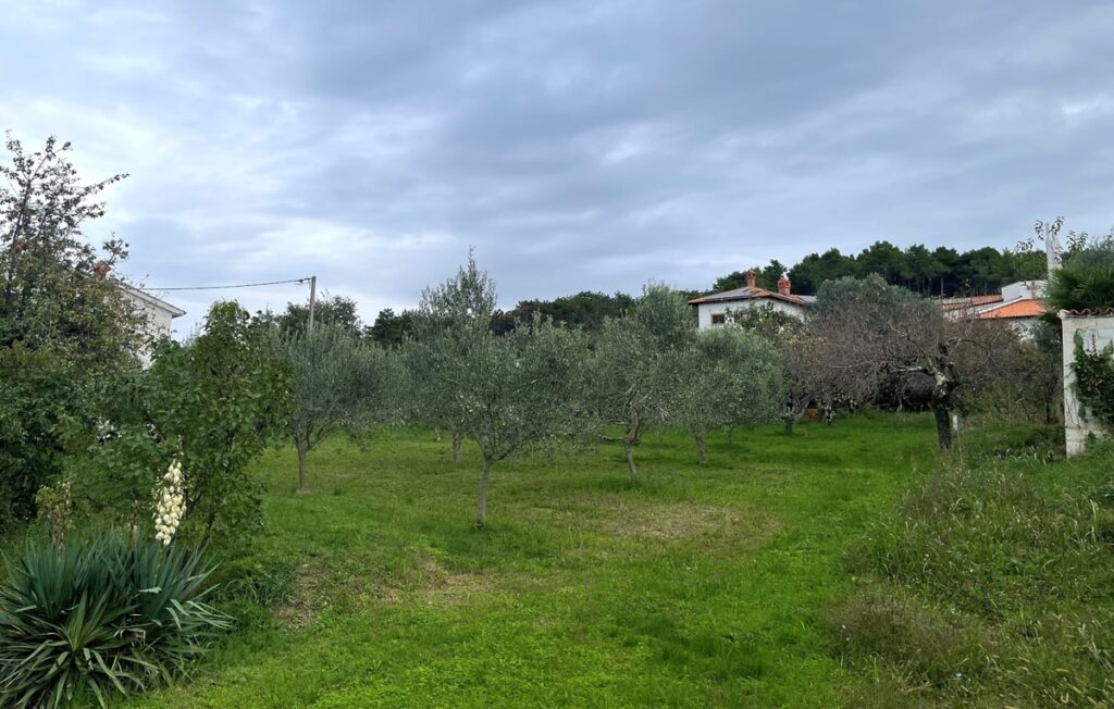 Parcela dražba drugič