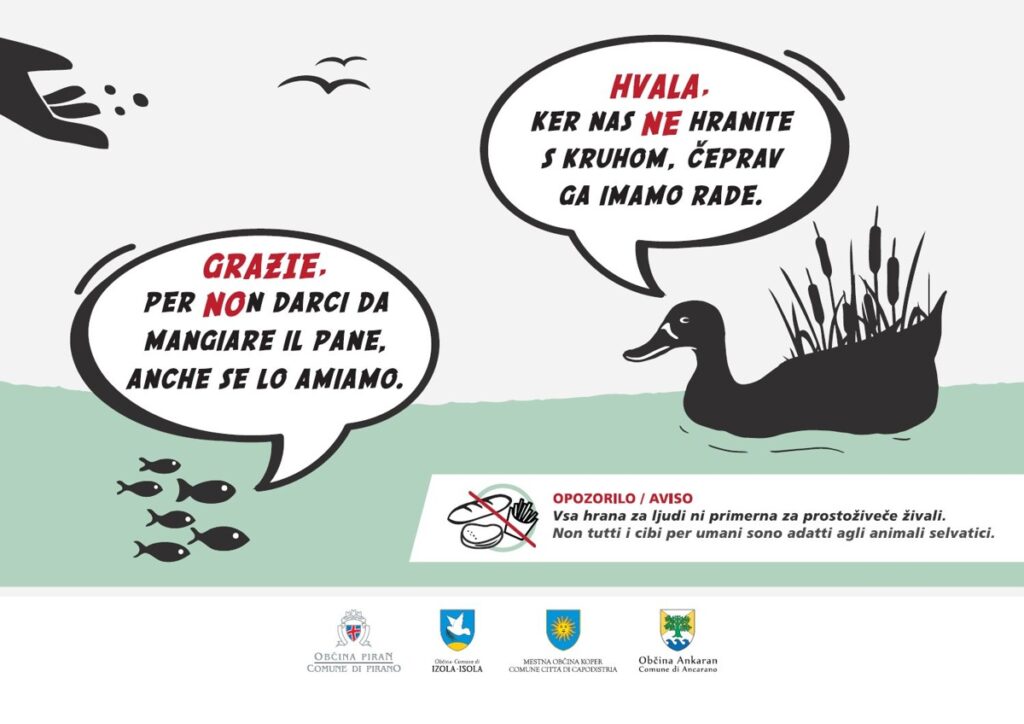 Plakat hranjenje živali