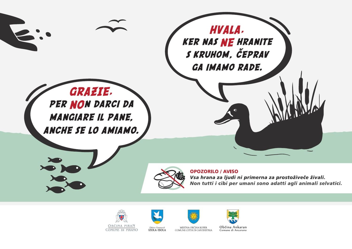 Plakat hranjenje živali