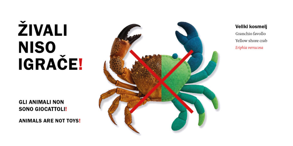 Živali niso igrače banner