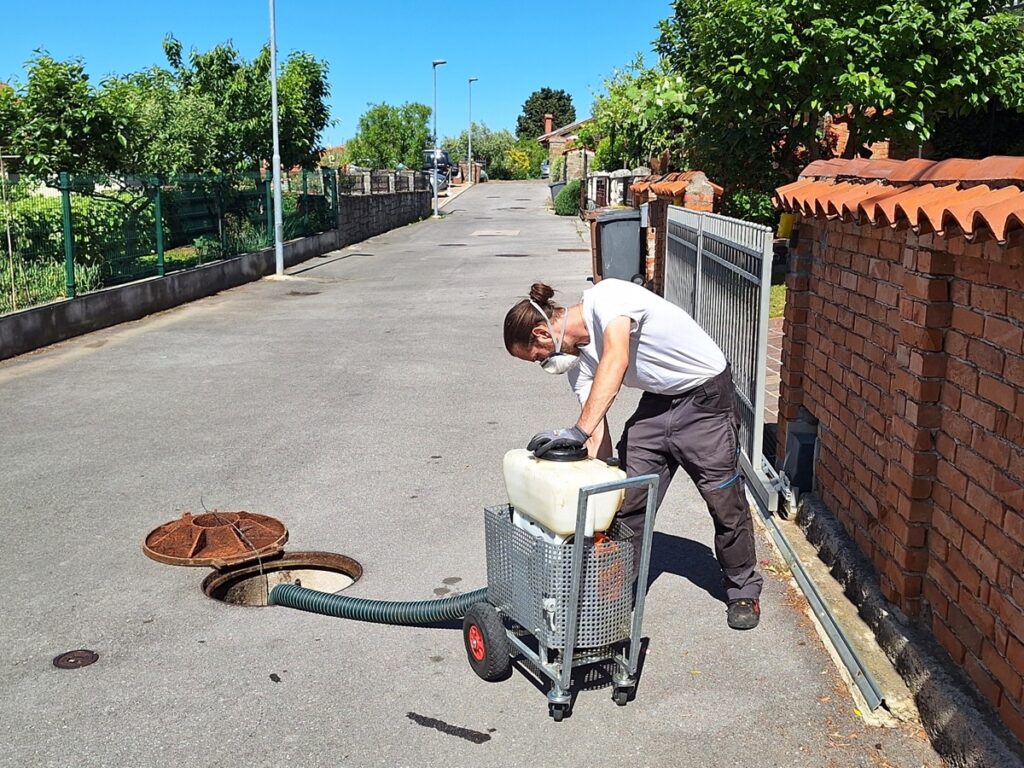 Dezinsekcija Ankaran maj 2025