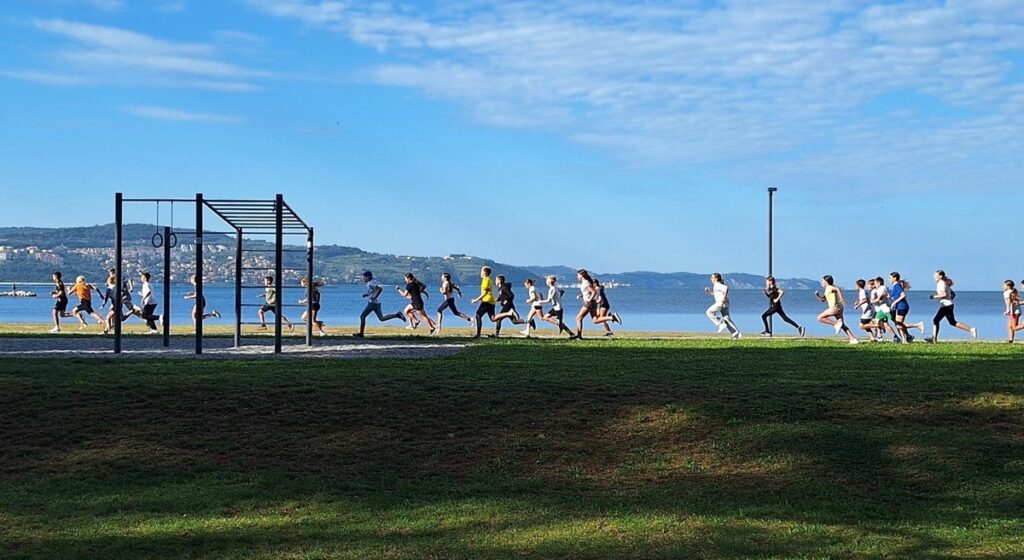 Veter v laseh 2025 01