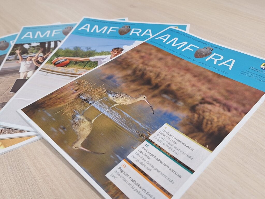 Naslovnice Amfora - nova izdaja oktober 2025