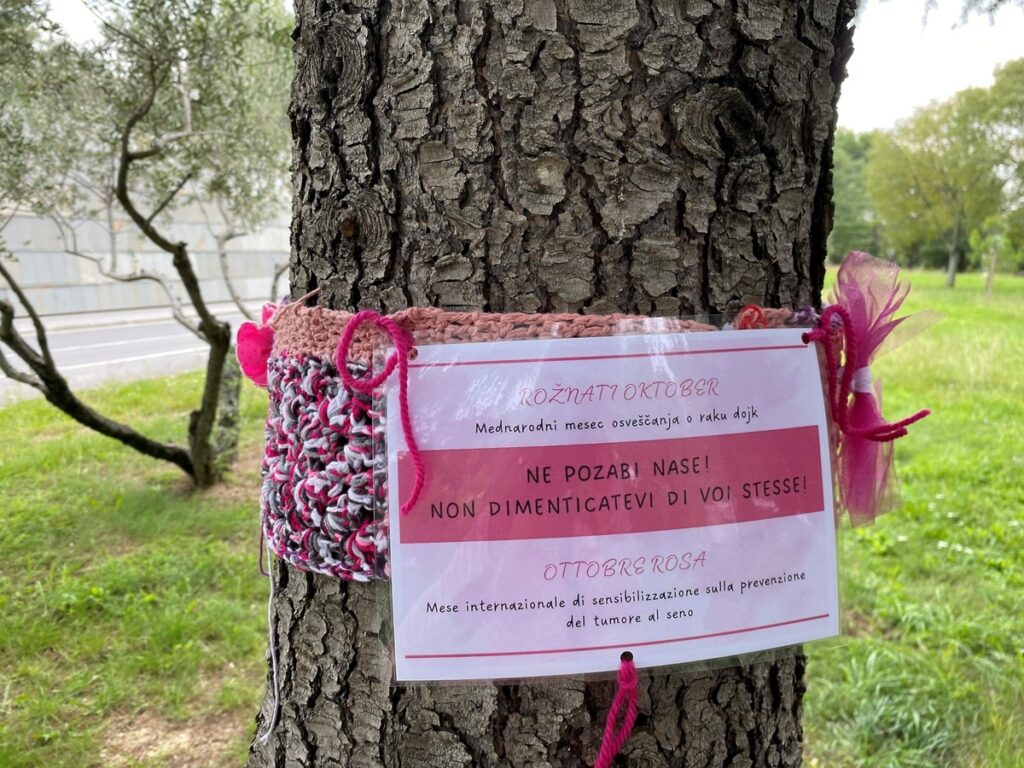 Rožnati oktober 2025 2