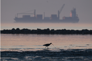 Mostra audio-fotografica di Nika Solce: “Moč-vir-je”