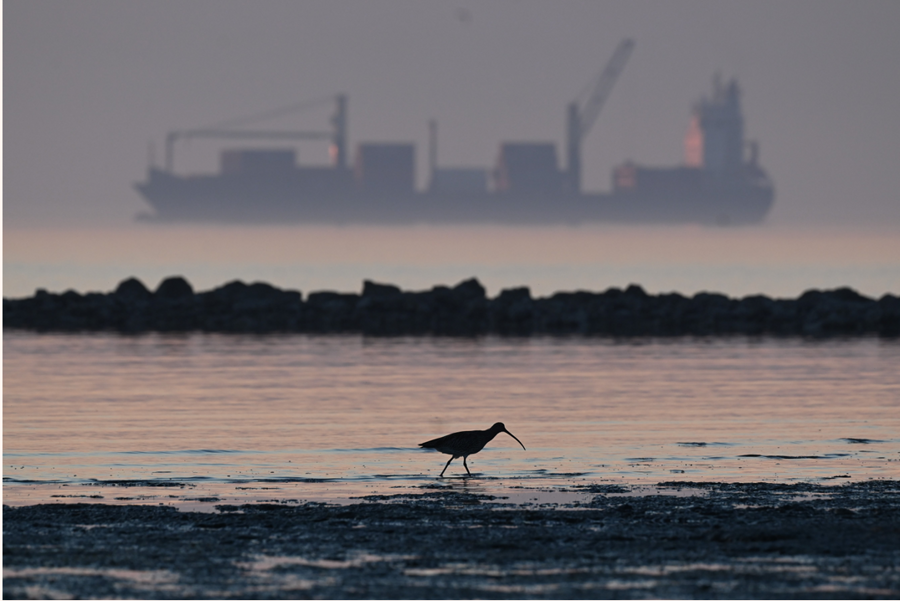 Mostra audio-fotografica di Nika Solce: “Moč-vir-je”
