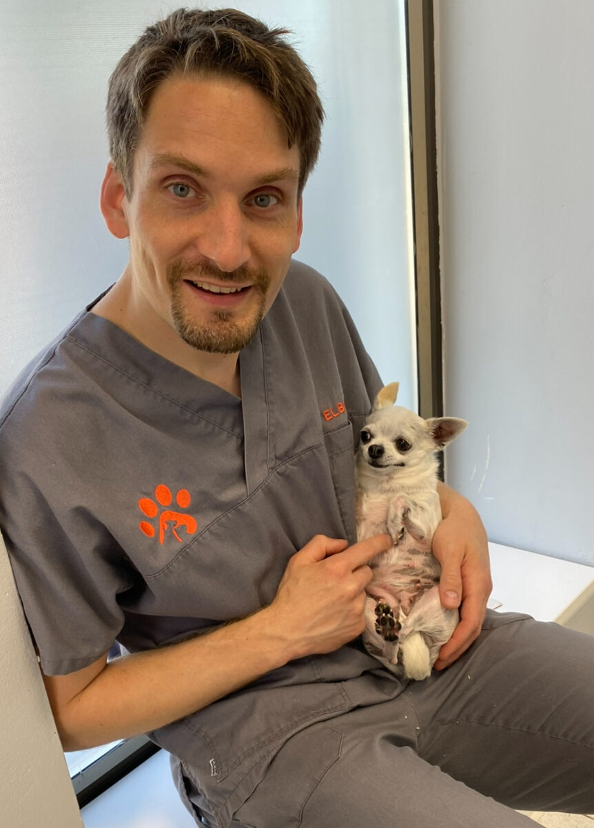 Veterinar Leonard Baričevič: »Srečni razpleti so naš vsakodnevni pogon«