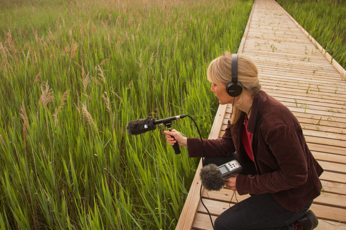 Nika Solce: »Od ene čaplje se naučiš več kot od vseh gurujev.«