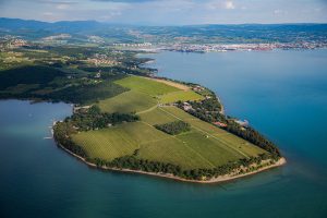 Il Consiglio comunale ha adottato il Programma annuale per lo sport e ha approvato il piano di gestione del Parco naturale Punta Grossa