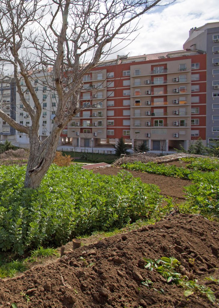 Urbani vrtovi - primer dobre prakse