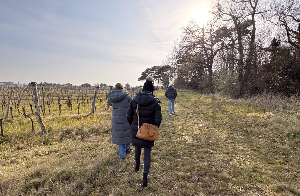 Destinacija Ankaran srebrni znak Slovenia Green Destination Silver
