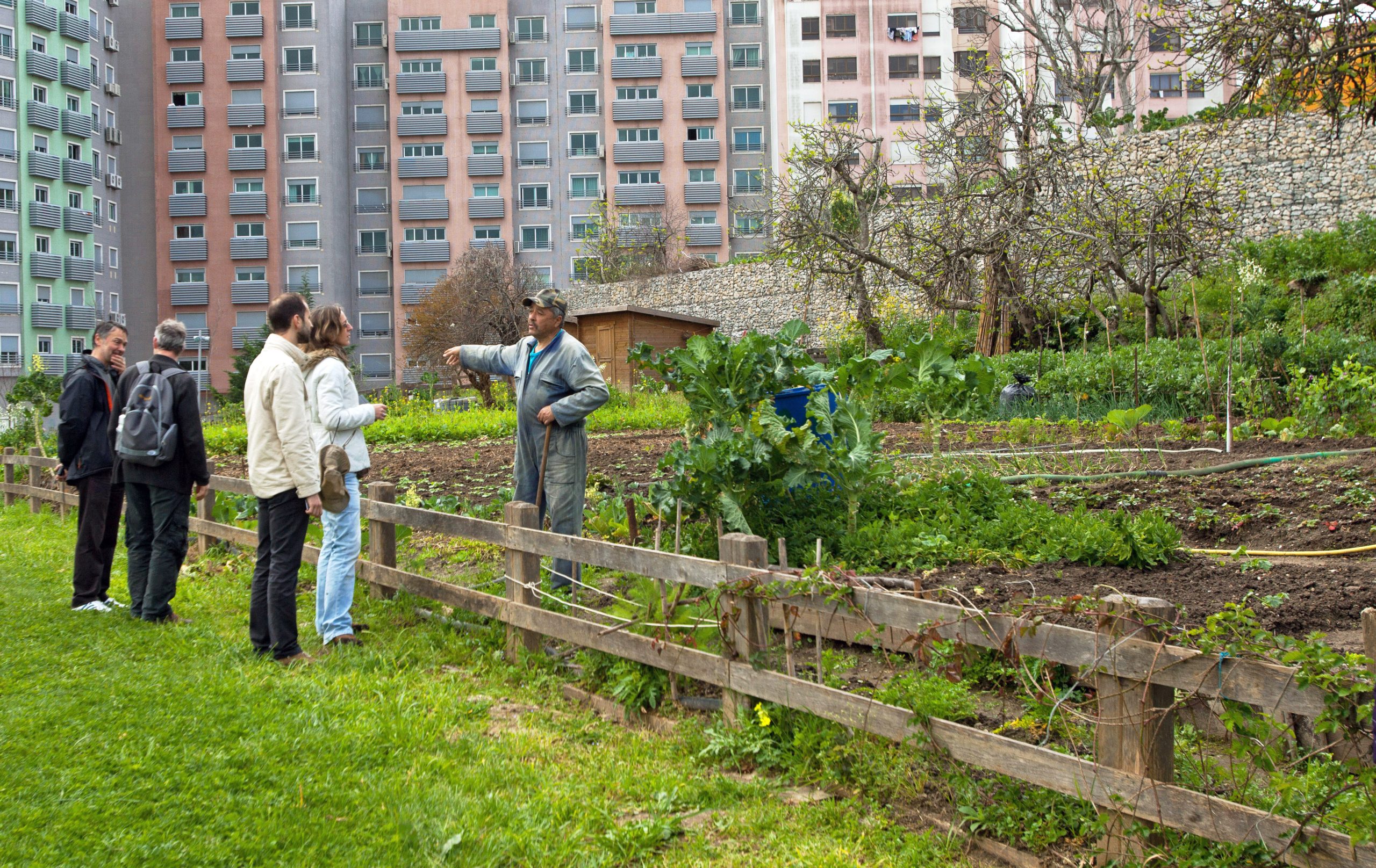 Progetto Orti urbani 1