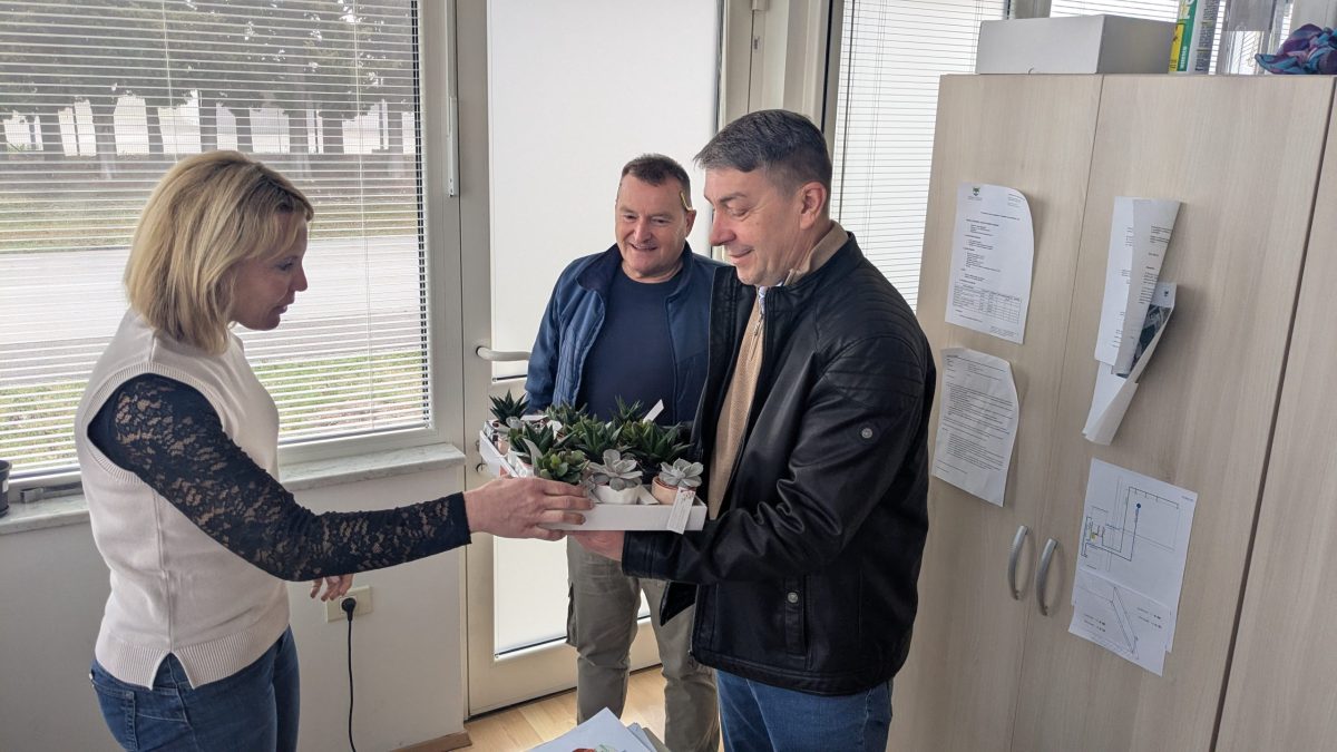 Razdeljevanje cvetja pred 8. marcem 2026