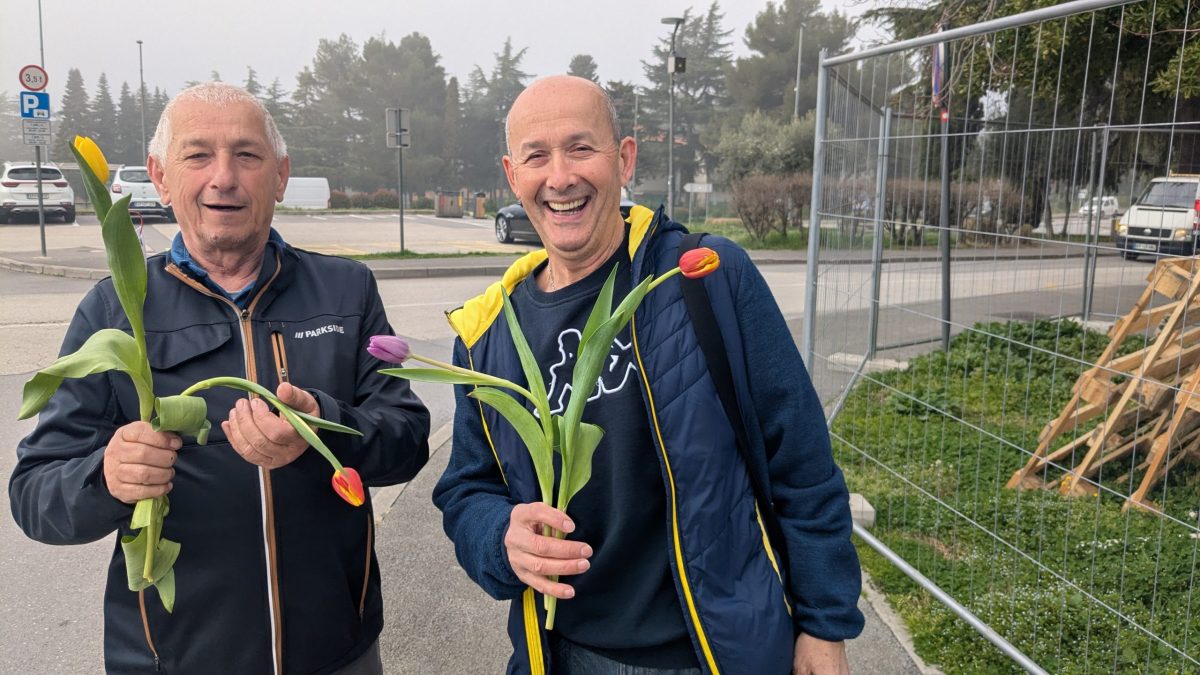 Razdeljevanje cvetja pred 8. marcem 2026