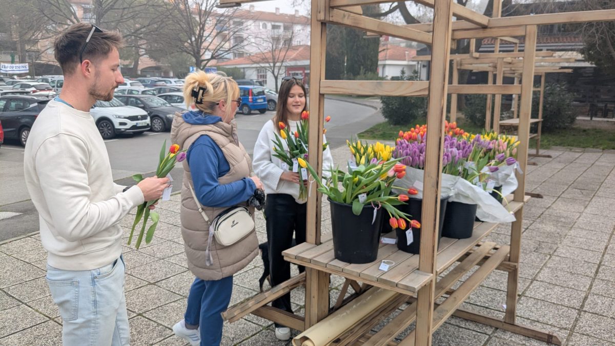 Razdeljevanje cvetja pred 8. marcem 2026