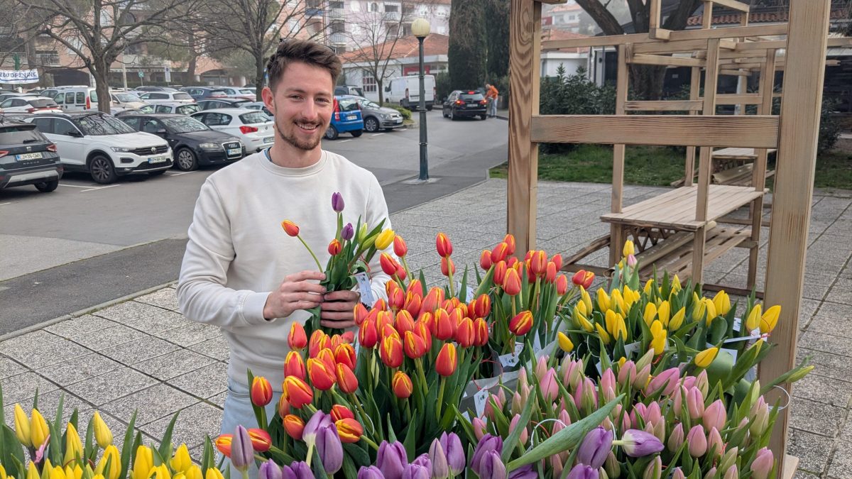 Razdeljevanje cvetja pred 8. marcem 2026