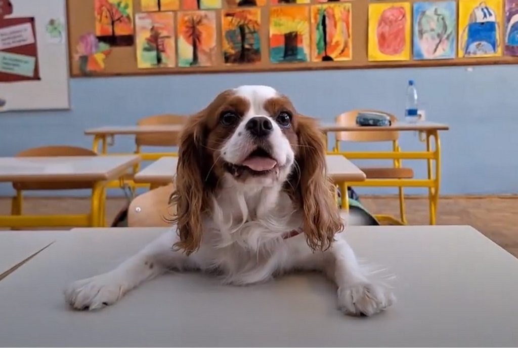 Spoznajte tačke pomagačke