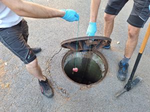 Nadzor nad glodavci se izvede s postavljanjem vab v javno dostopne kanalizacijske jaške. (Foto: Občina Ankaran)