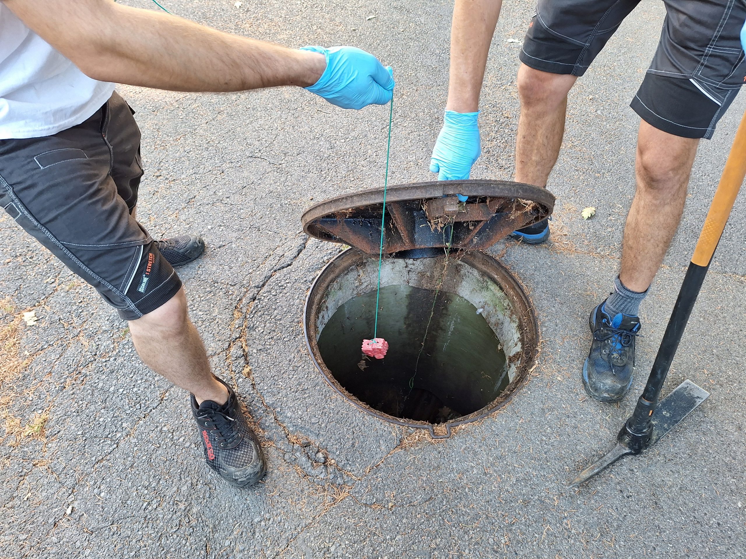 Nadzor nad glodavci se izvede s postavljanjem vab v javno dostopne kanalizacijske jaške. (Foto: Občina Ankaran)
