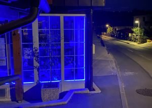 Modra barva simbolizira upanje, podporo in solidarnost z osebami s Parkinsonovo boleznijo. (Foto: javni zavod Ankaran)