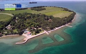 Krajinski park Debeli rtič je najmlajše območje zavarovane narave v Slovenski Istri, ki obsega skrajni konec ankaranskega polotoka s flišnim klifom. (Foto: posnetek zaslona)