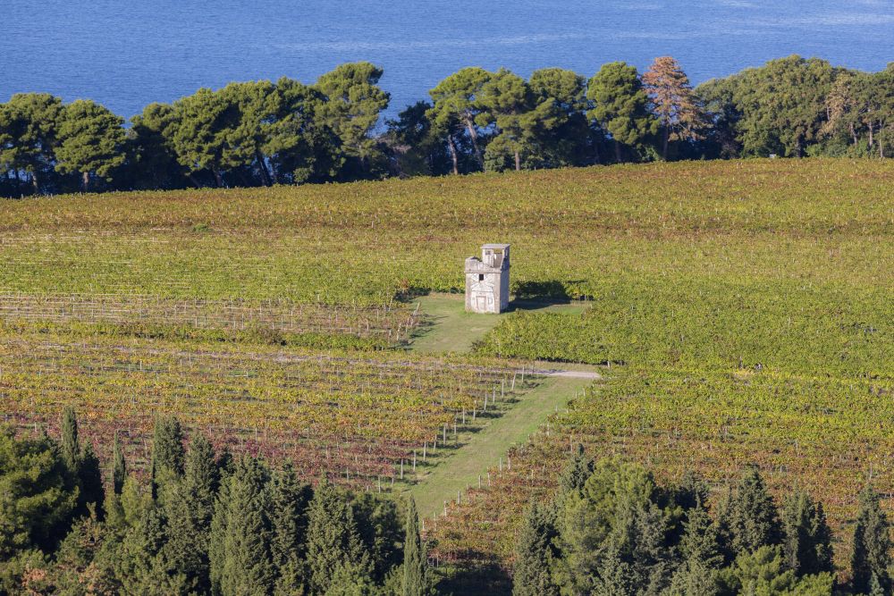 Cilj projekta je urediti območje, ki bo hkrati učilnica na prostem, točka interpretacije zgodovine, prostor za vključujoča doživetja in nosilec trajnostnega turizma. (Foto: Jaka Ivančič)