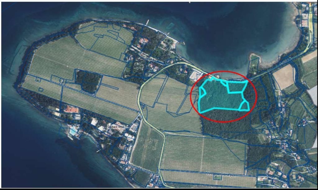 Immagine dell'area all'interno del Parco paesaggistico di Debeli Rtič, dove la società Primorje d.d., in fallimento, aveva in programma la costruzione di un complesso turistico-residenziale. (fonte: Comune di Ankaran)