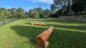 debla pasji park