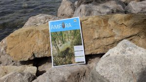 Izšla je nova Amfora!