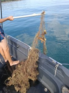 Zapuščene ribiške mreže – tiha nevarnost za morski svet