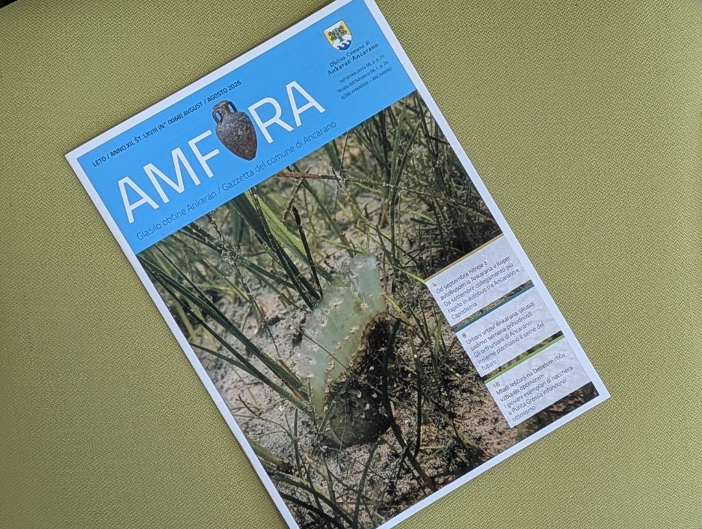 Izšla je nova Amfora!