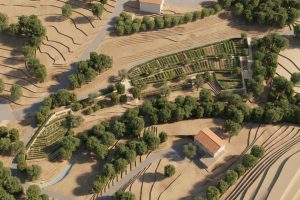 Realistična vizualizacija predvidenega videza urbanih vrtov v Ankaranu po izvedbi načrtovane ureditve. (Vir: Landstudio)