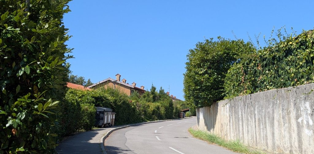 Urbani sprehod v okviru projekta “(Mi smo) ZA ŽIVE MEJE”